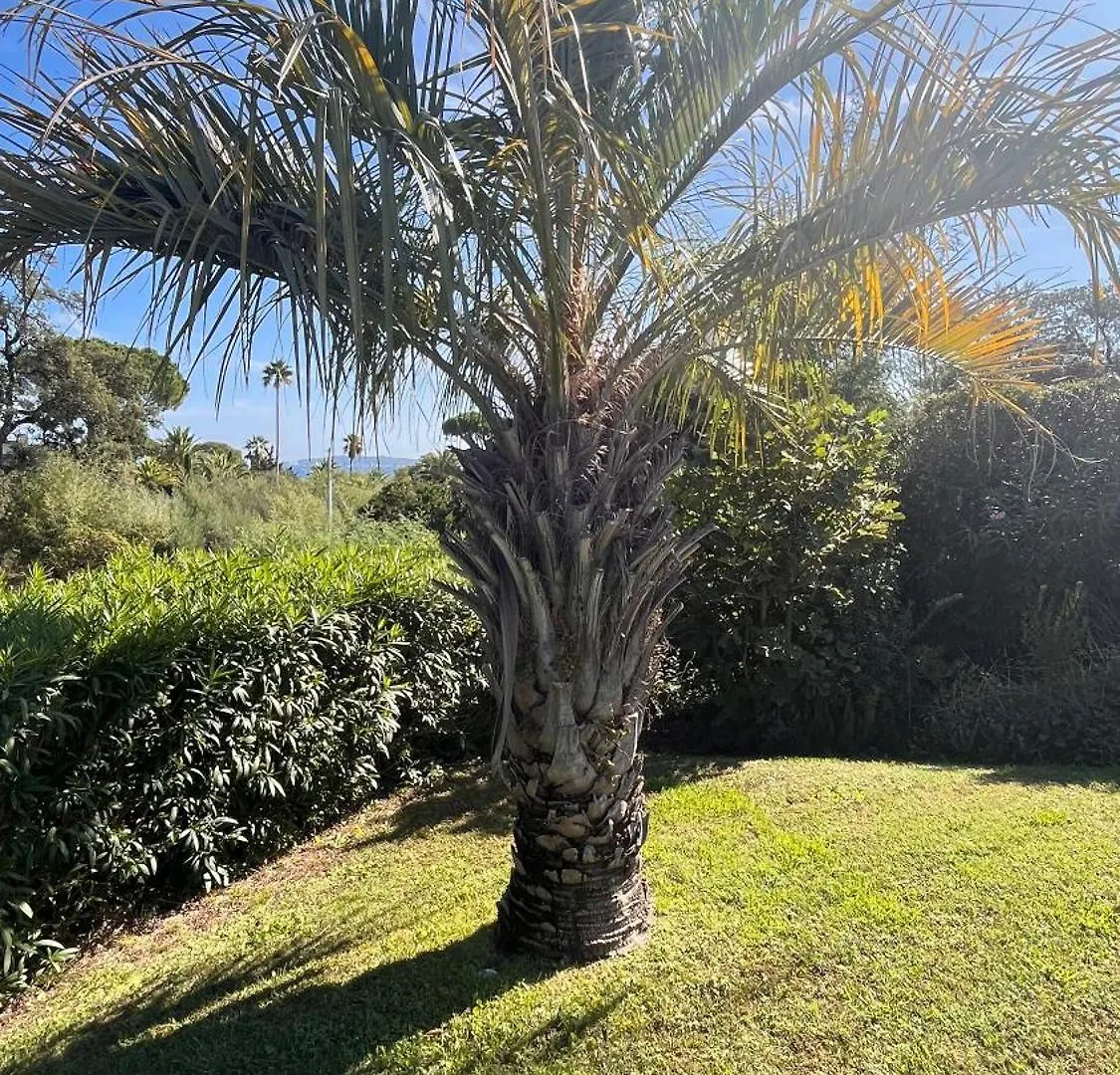 Luxueuse Villa Vue Mer Avec Piscine Golfe De St Tropez 14 Personnes Grimaud