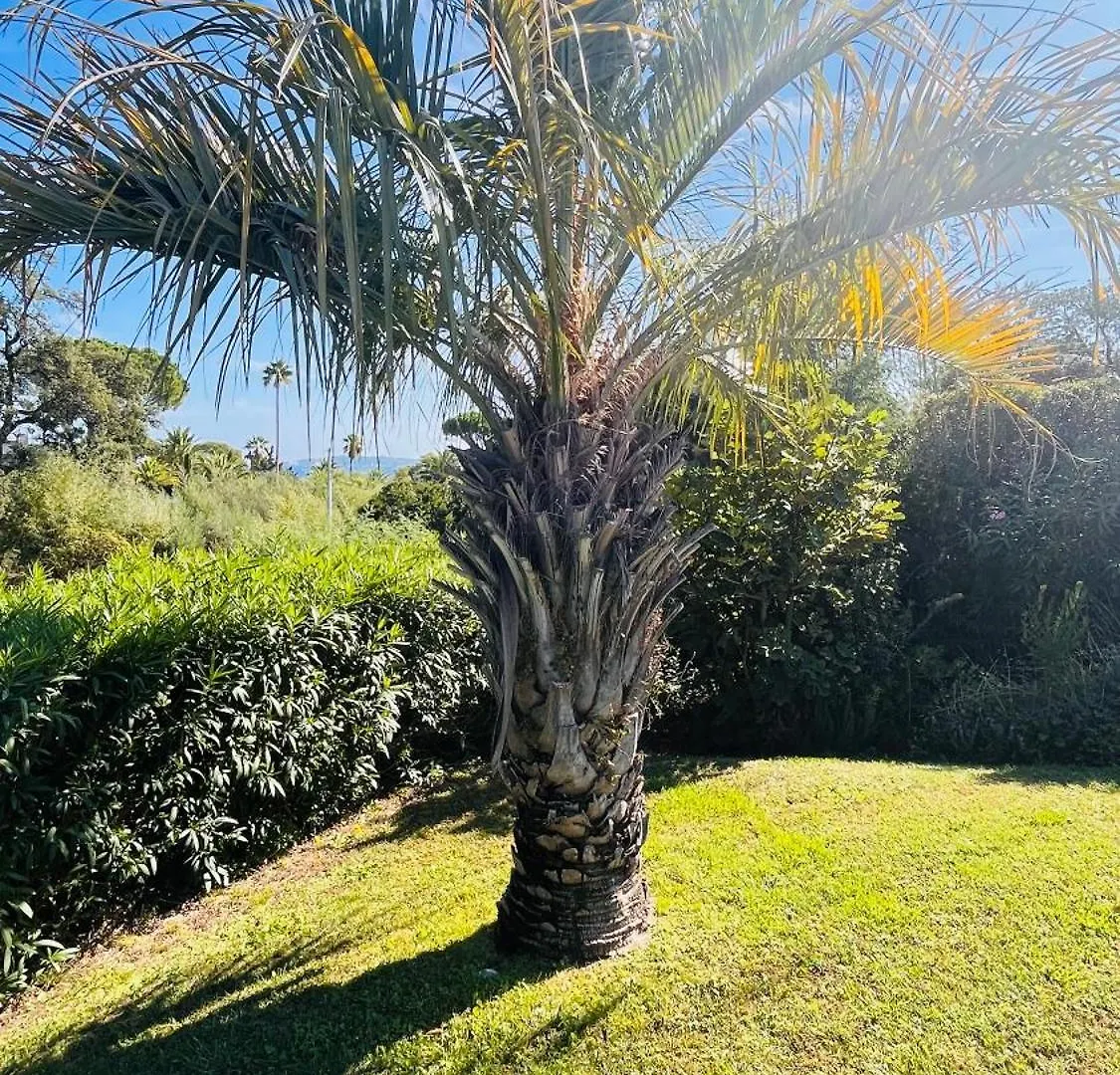 Luxueuse Villa Vue Mer Avec Piscine Golfe De St Tropez 14 Personnes Grimaud